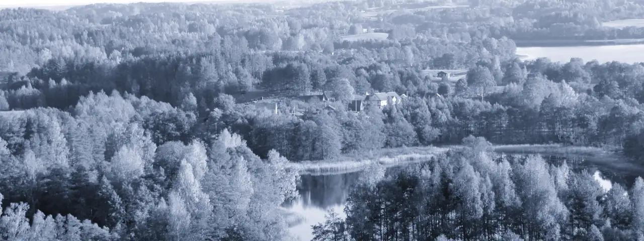 Aukštaitijos ežerų ir miškų panorama iš viršaus rudenį, tarp medžių matyti kelios sodybos